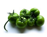 Зеленые помидоры от варикоза: лечение, отзывы